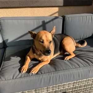 Meet your Posher, Haley